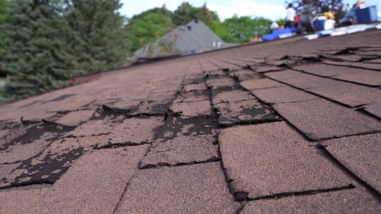 Best Slate Roofing  in Hancock, MI