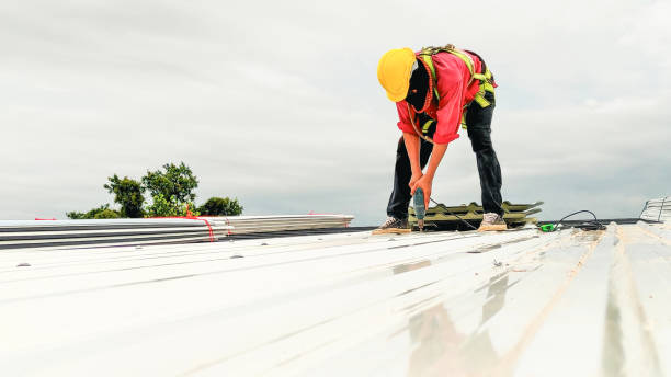 Best Asphalt Shingle Roofing  in Hancock, MI